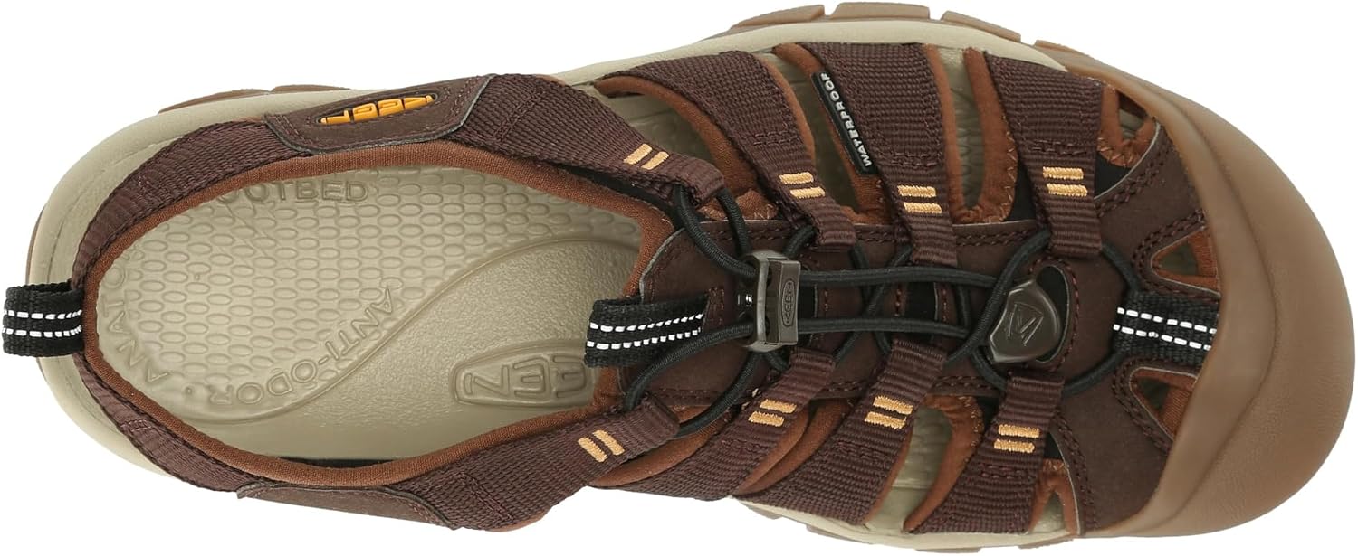킨 Newport H2
