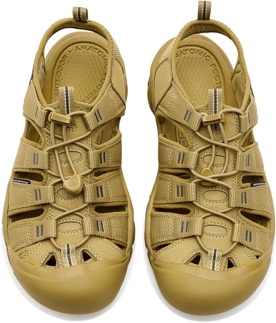 킨 Newport H2