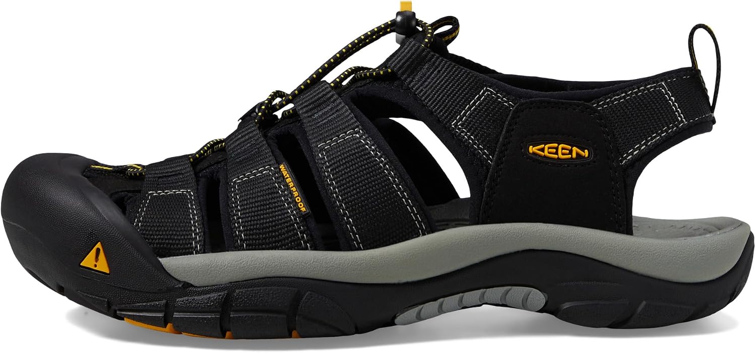 킨 Newport H2