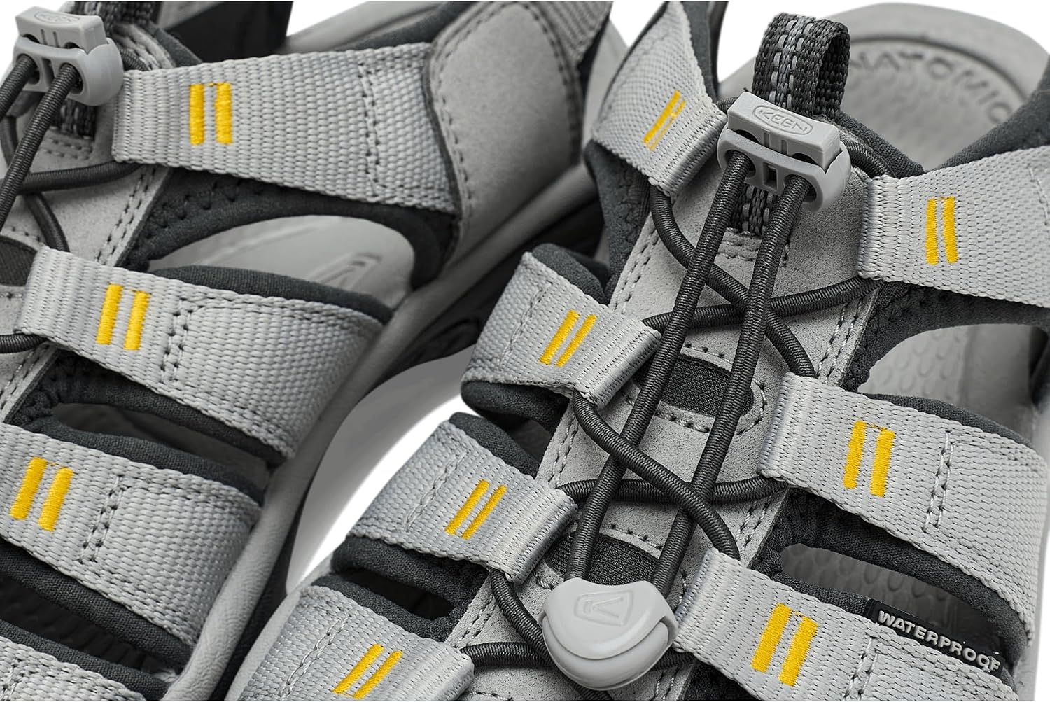 킨 Newport H2